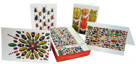 Exquisite Creatures Boxed Notecards
