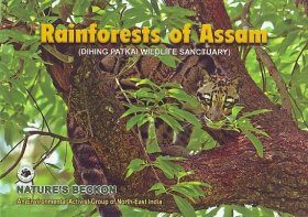 Rainforests of Assam