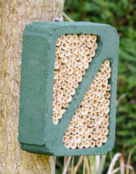 WoodStone Insect Block