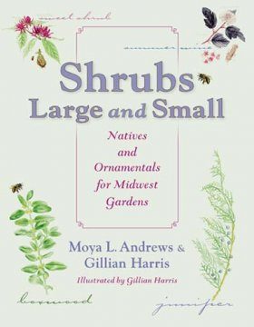 Shrubs Large and Small