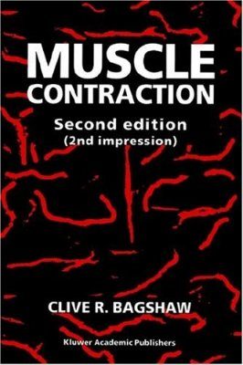 Muscle Contraction