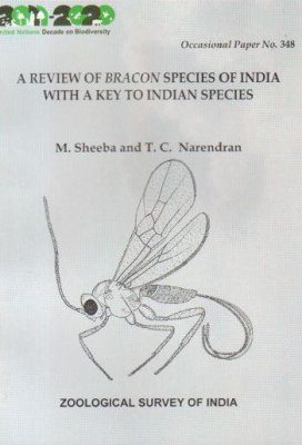 A Review of Bracon Species of India with a Key to Indian Species