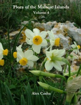 Flora of the Maltese Islands, Volume 4
