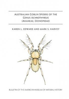 Australian Goblin Spiders of the Genus Ischnothyreus (Araneae, Oonopidae)
