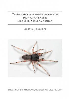 The Morphology and Phylogeny of Dionychan Spiders (Araneae: Araneomorphae)