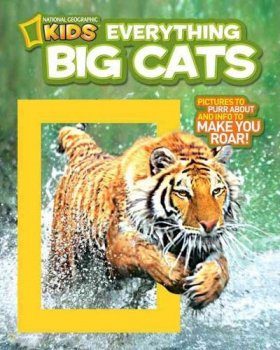 Everything Big Cats