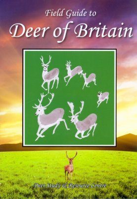 Field Guide to Deer of Britain