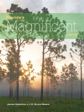 Florida's Magnificent Land