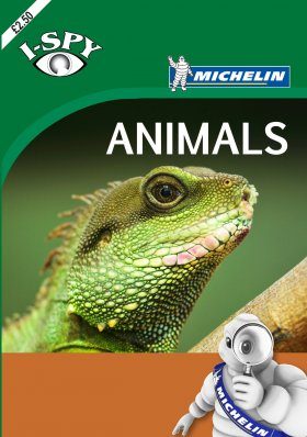 I-Spy Animals