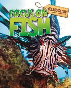 Classification: Focus on: Fish