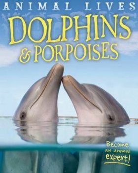 Dolphins & Porpoises