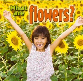What are Flowers?