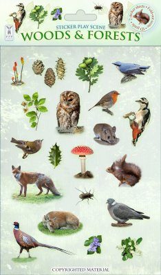 Sticker Play Scenes: Woods & Forests