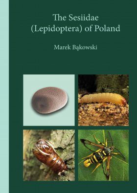 The Sesiidae (Lepidoptera) of Poland