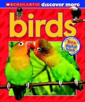 Discover More: Birds