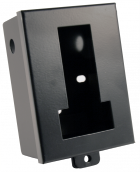 Ltl Acorn Security Box