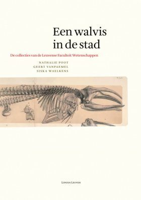 Een Walvis in de Stad