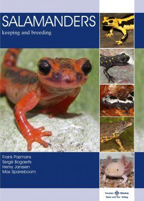Salamanders: Keeping and Breeding