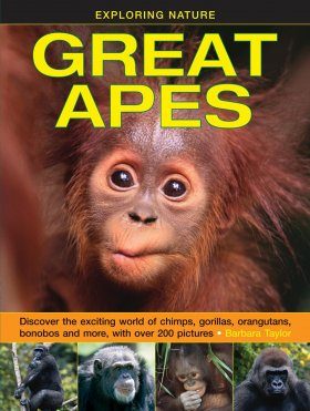 Great Apes