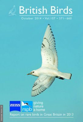 British Birds Report on Rare Birds in Great Britain in 2013