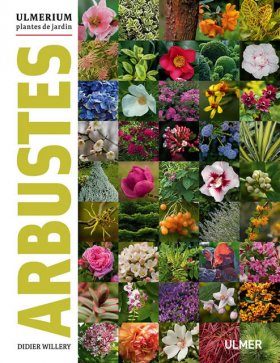 Arbustes (Collection Ulmerium)