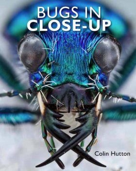 Bugs in Close-Up