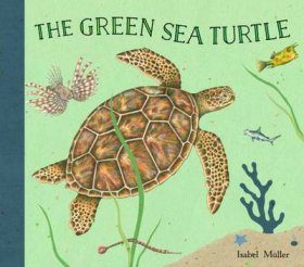 The Green Turtle