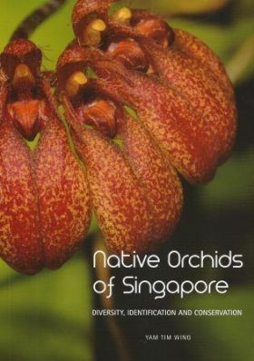 Native Orchids of Singapore