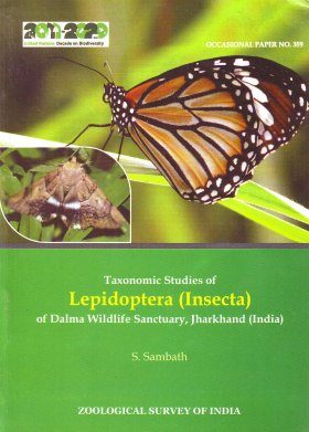 Taxonomic Studies of Lepidoptera (Insecta) of Dalma Wildlife Sanctuary, Jharkhand (India)