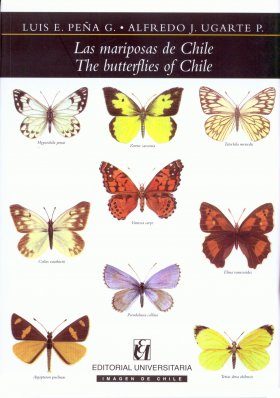 The Butterflies of Chile / Las Mariposas de Chile