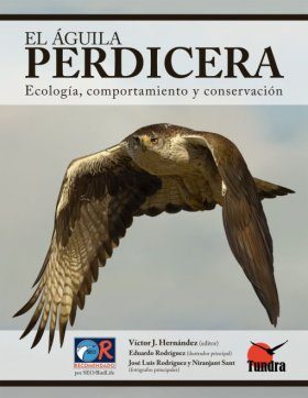 El Águila Perdicera