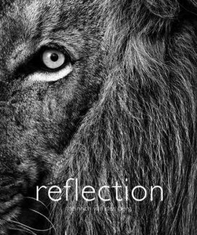 Reflection