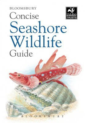Bloomsbury Concise Seashore Wildlife Guide