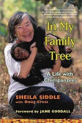 In My Family Tree