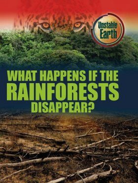 What Happens if the Rainforests Disappear?