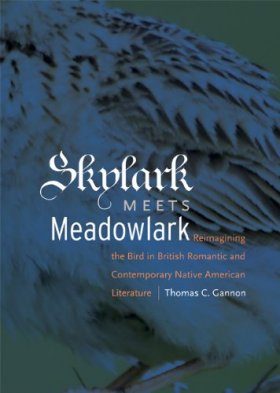 Skylark Meets Meadowlark