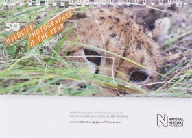 Wildlife Photographer of the Year 2015 Desk Calendar