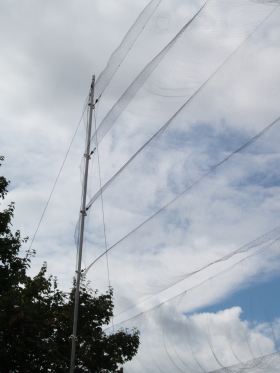 High Flier Mist Net Support System (for Bats)