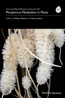 Phosphorus Metabolism in Plants