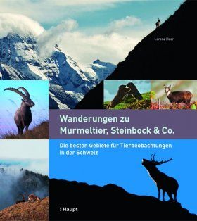 Wanderungen zu Murmeltier, Steinbock & Co.