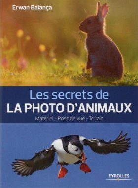 Les Secrets de la Photo d'Animaux