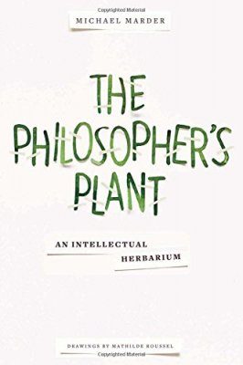 The Philosopher's Plant