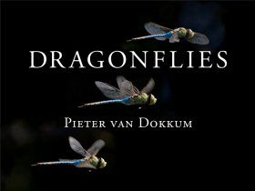 Dragonflies: Magnificent Creatures of Water, Air and Land