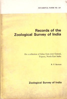 On a Collection of Fishes from River Gumati, Tripura, North East India