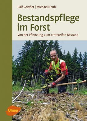 Bestandspflege im Forst