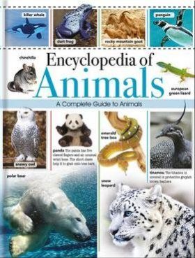 Great Animal Encyclopedia