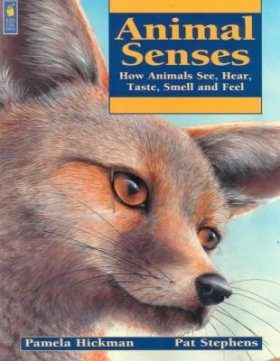 Animal Senses