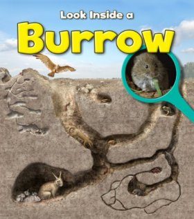 Look Inside a Burrow
