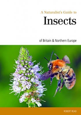 A Naturalist's Guide to Insects of Britain & Northern Europe