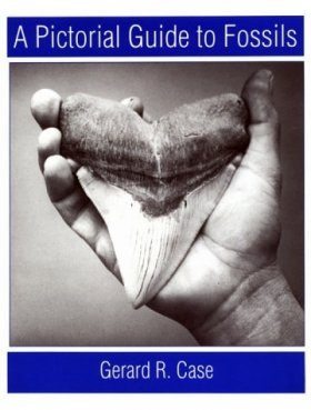 A Pictorial Guide to Fossils